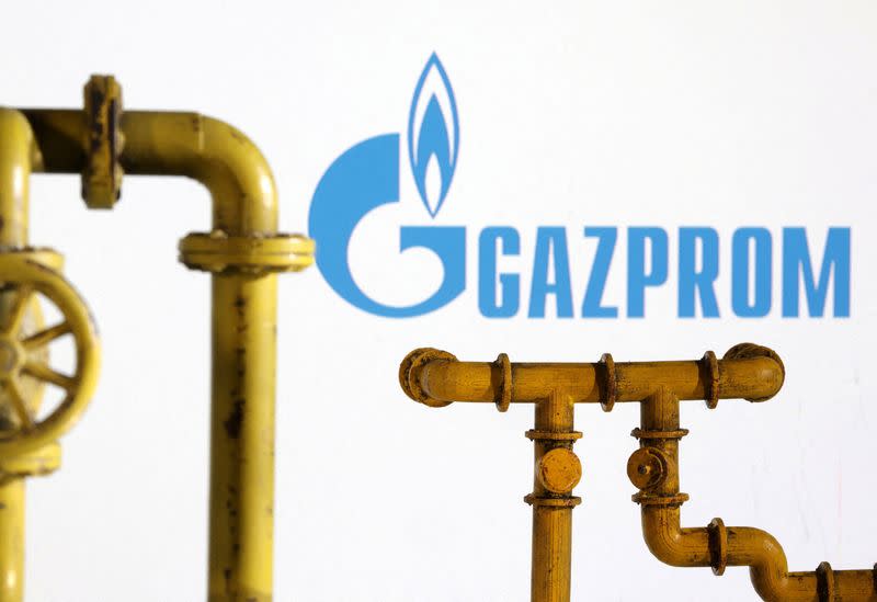 FILE PHOTO: Illustration shows natural gas pipeline and Gazprom logo