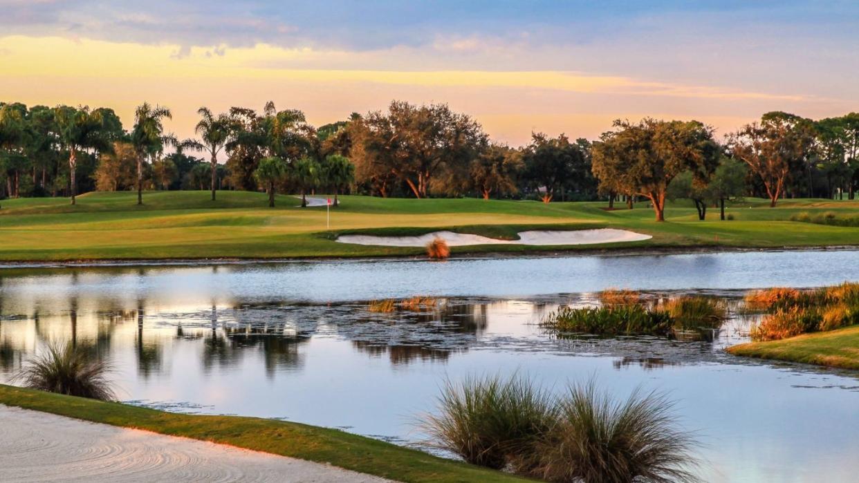 a golf course with a pond and palm trees