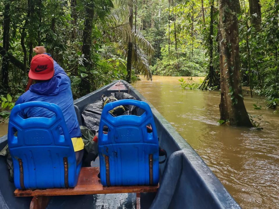 man operating a canoe in the amazon rainforest in ecuador