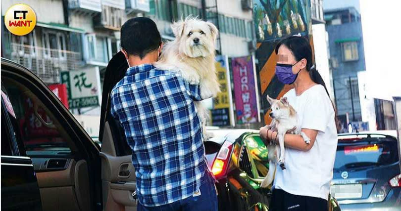 蕭亞軒的司機從寵物店抱出一隻小狗，隨後店員也協助抱出另一隻狗。（圖／本刊攝影組）