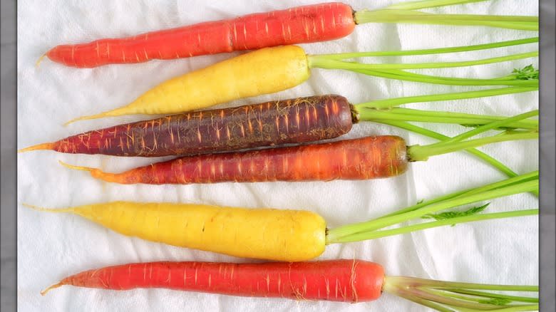 carrots on paper towel