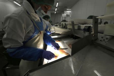 People work in a Viciunai Group fish factory in Kaunas December 17, 2014. REUTERS/Ints Kalnins