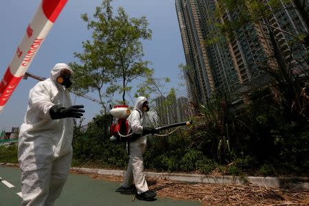 Workers from the Food and Environmental Hygiene Department kill mosquitoes outside a construction site near a residential area in Hong Kong, China August 26, 2016, after the first case of Zika was confirmed in the city.