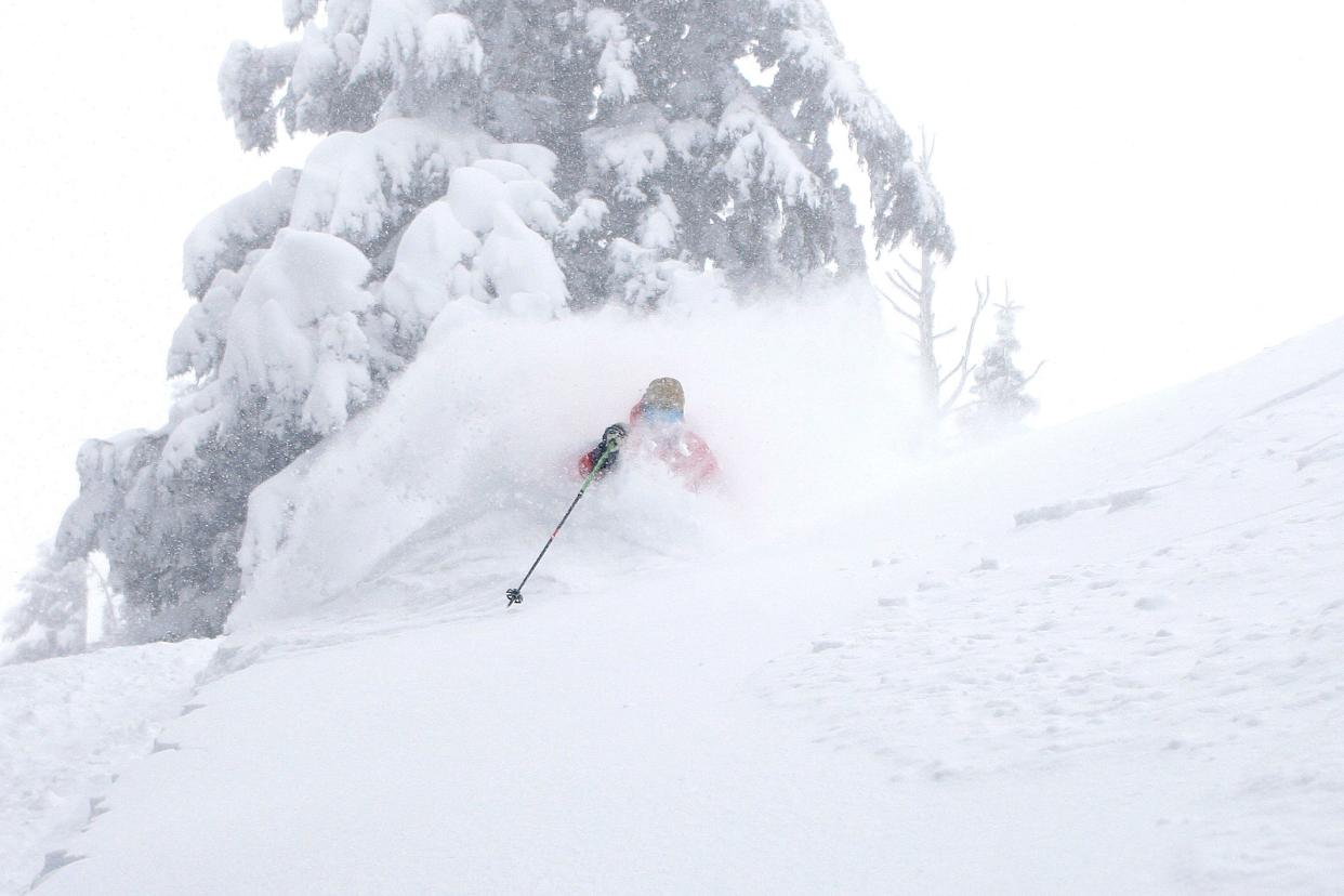 Asit Rathod skis the deep powder in the trees at Mt. Hood Meadows Ski Area.