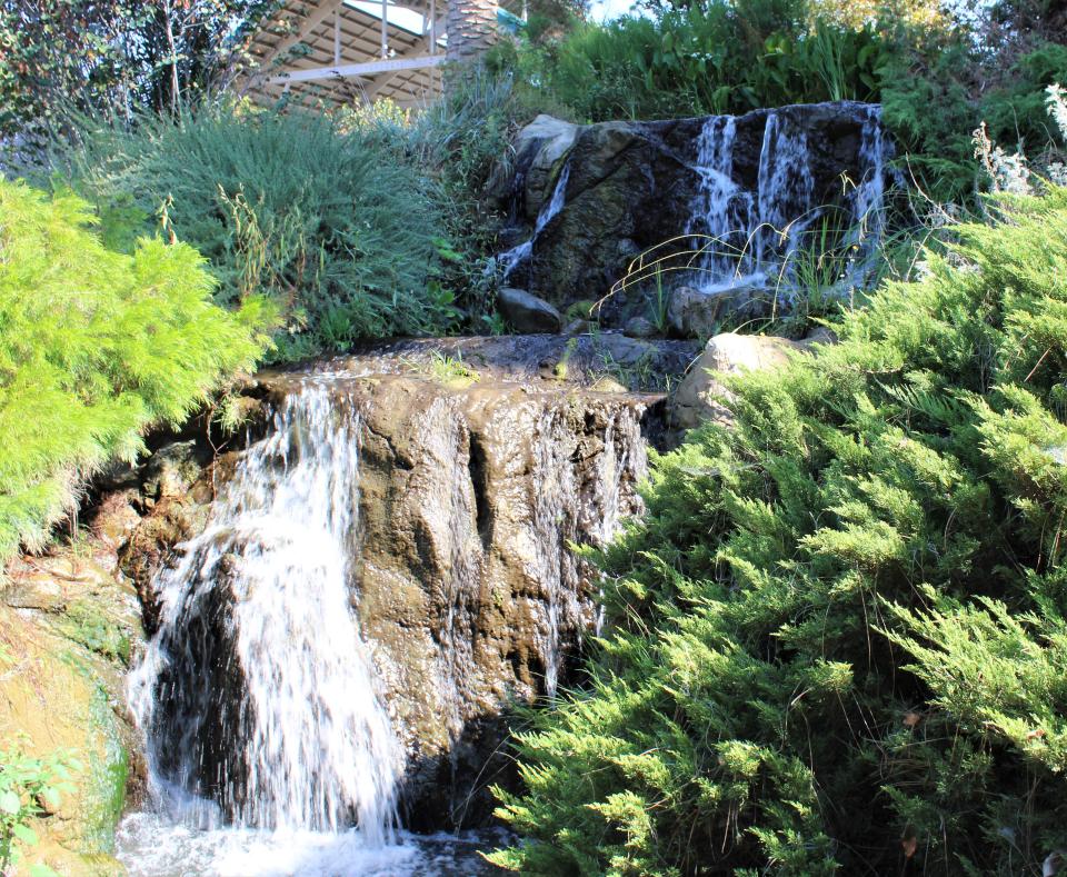 Glistening waterfalls at the entrance to the Arboretum.