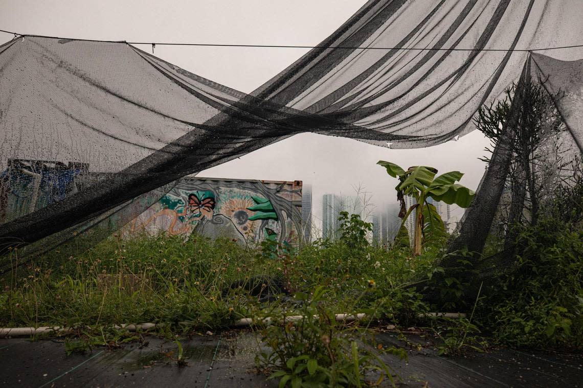 The garden at the Green Haven Project.