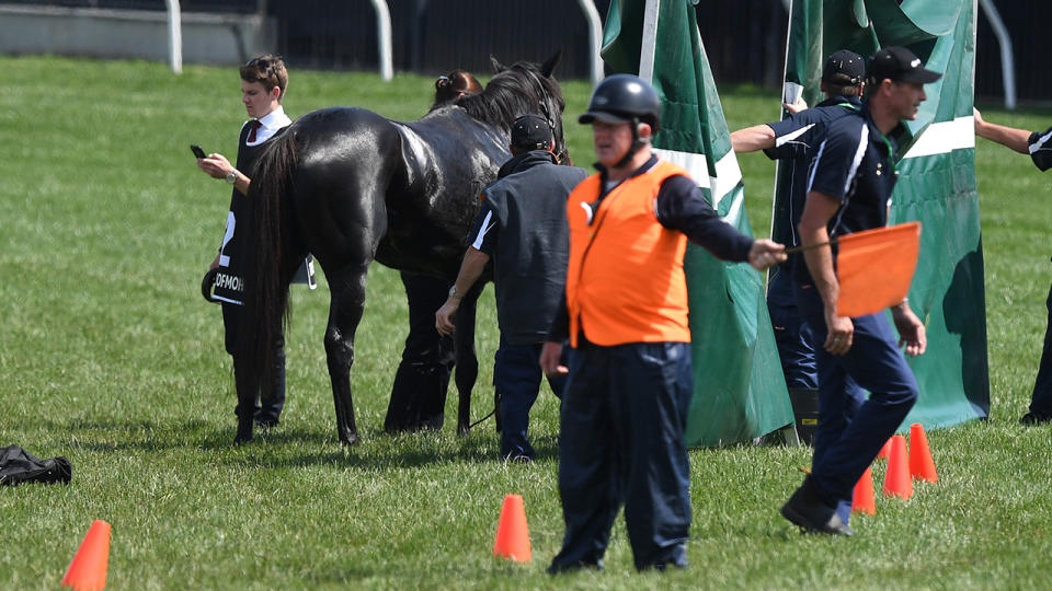 CliffsofMoher, pictured here after being injured during the Melbourne Cup in 2018.