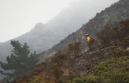 A firefighter stands on steep terrain while fire crews create fire breaks at Garrapata State Park during the Soberanes Fire north of Big Sur, California, U.S. July 31, 2016. REUTERS/Michael Fiala