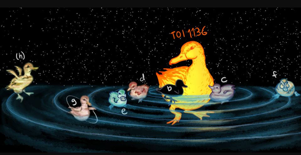 An illustration showing the planets of the TOI-1136 system as ducks