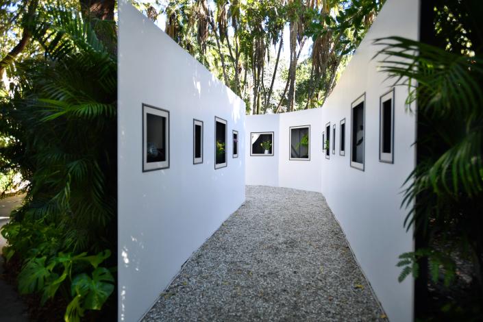 A gallery featuring living works of art appears in the middle of a lush tropical landscape at Marie Selby Botanical Gardens.