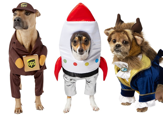 20 Best Halloween Pajamas for the Family, Including the Dog