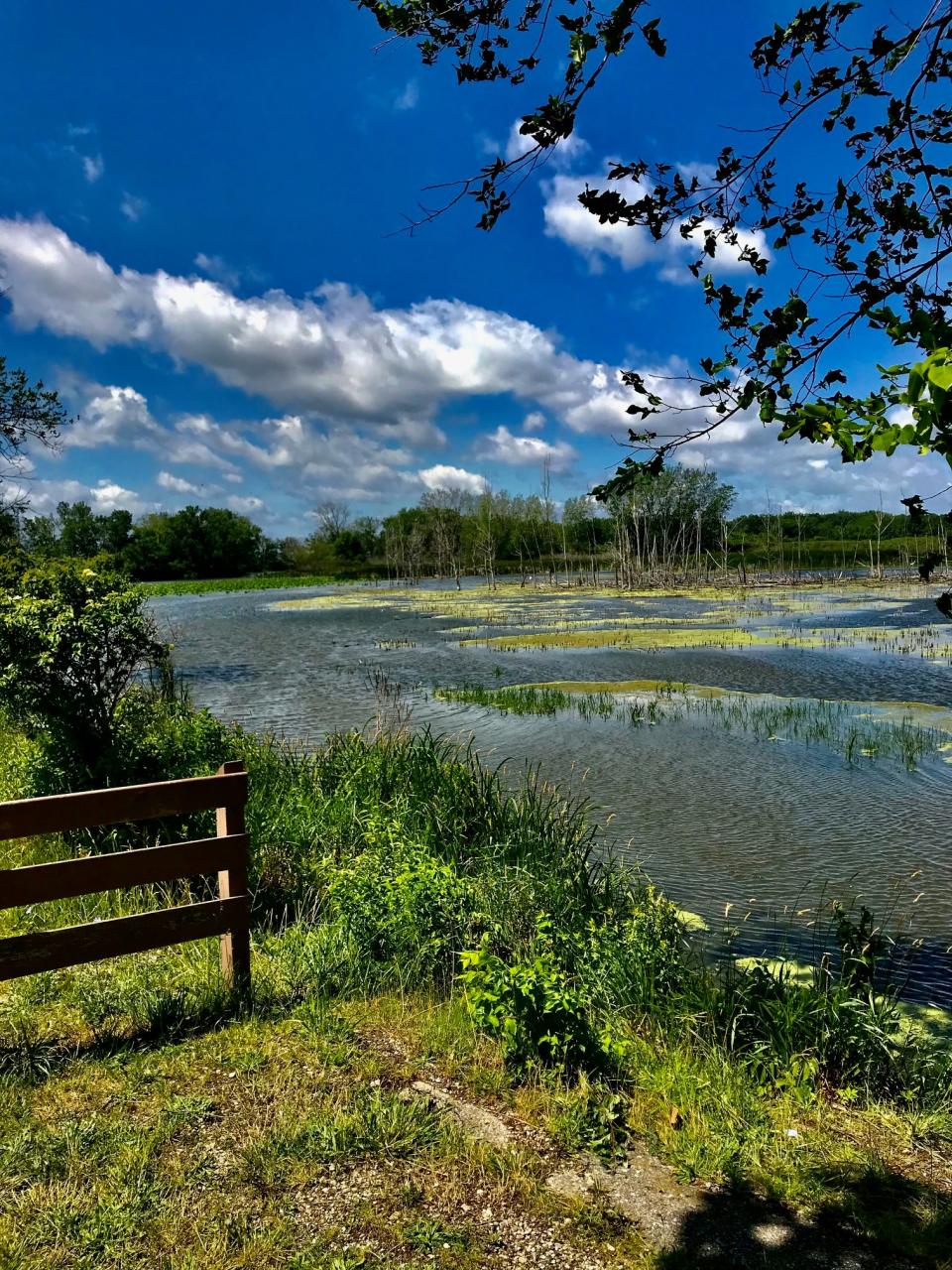 Picture perfect day at Sterling State Park