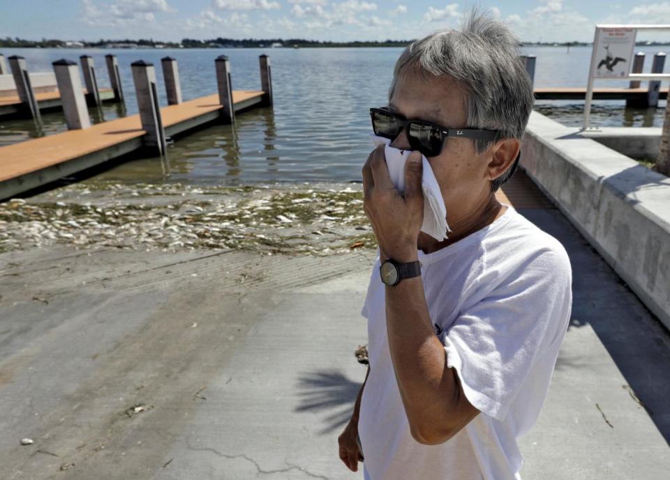 A local, Alex Kuizon covers his face as he stands near dead fish at a boat ramp in Florida (AP)