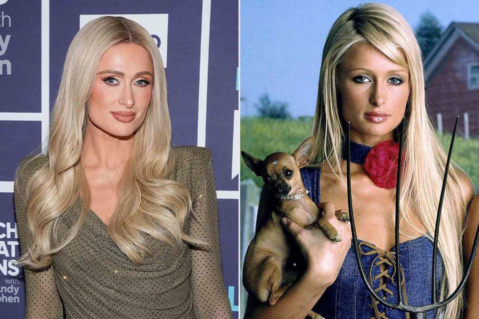 <p>Charles Sykes/Bravo via Getty; Alamy</p> Paris Hilton