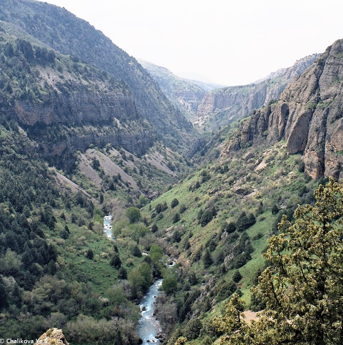 Tien-Shan occidental (Kazajstán, Kirguistán y Uzbekistán). Forma parte de una de las siete cadenas montañosas más grandes del mundo. Alcanza altitudes que van de los 700 hasta los 4 mil 503 metros.