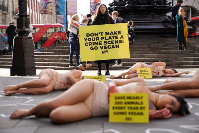 PETA protest