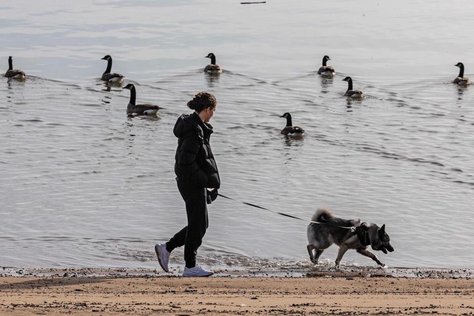 A visitor walks her dog along the Delaware River near Battery Park in Historic (Old) New Castle, Thursday, February 8, 2024.