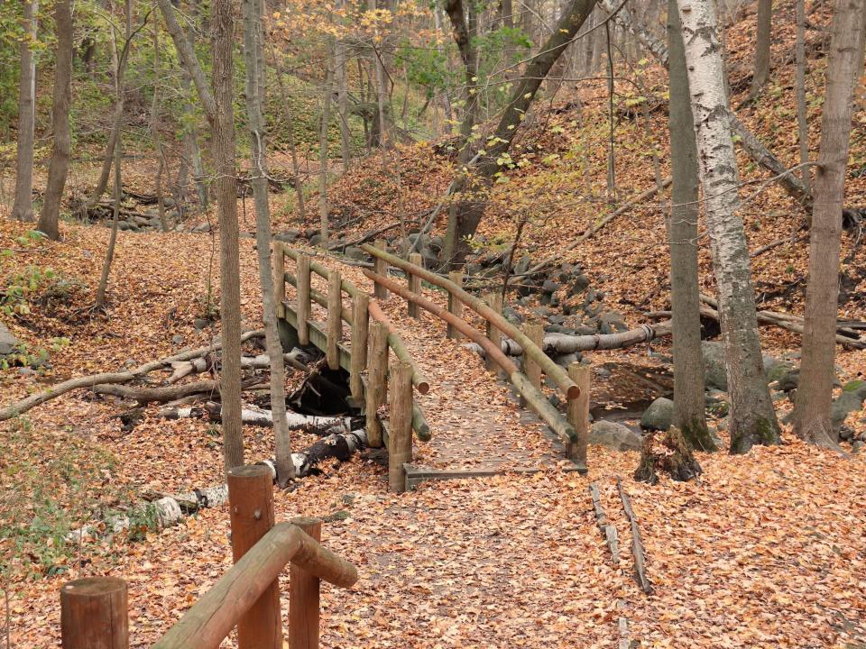 One of the seven bridges on the Seven Bridges Trail.