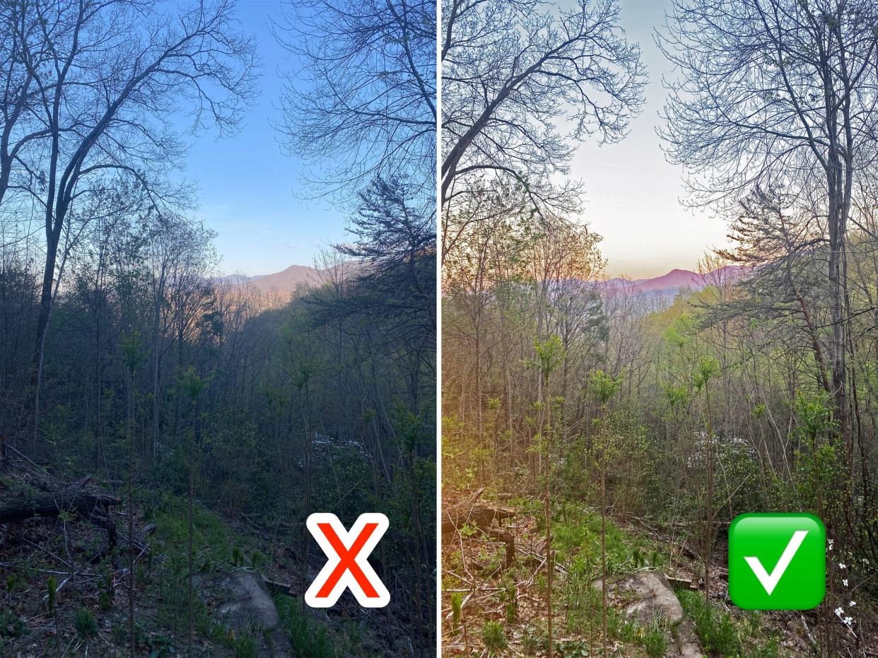Side by side photos of mountains and trees at sunset. Left image is too dark while right is properly exposed