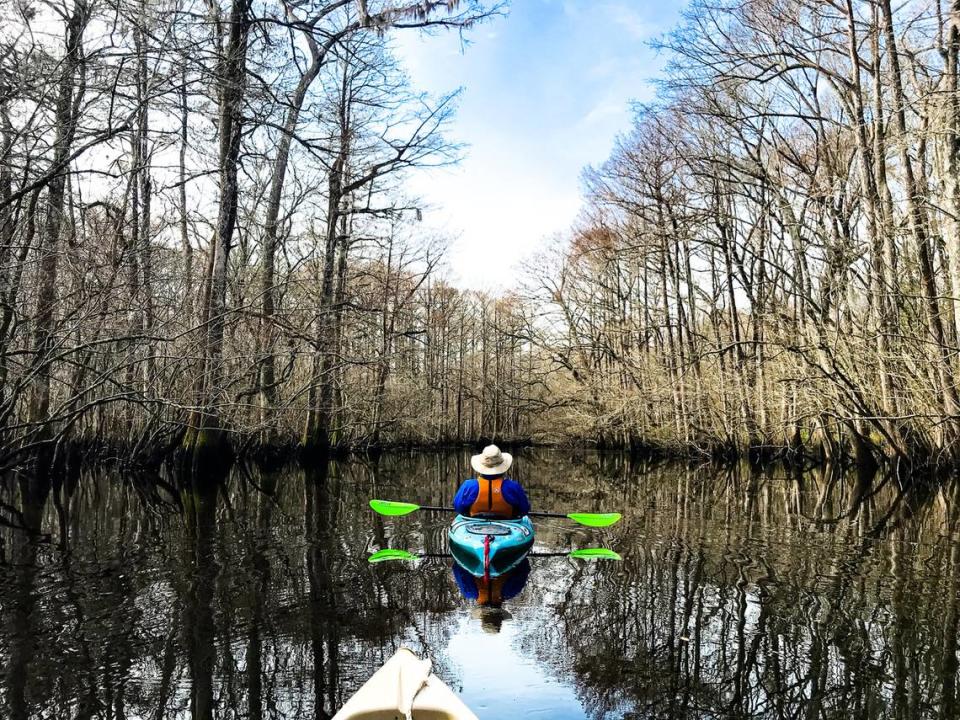 In a quiet lake on a section of the Edisto River near Jacksonboro, kayaker Alan Russell of Simpsonville contemplates the beauty of his Lowcountry surroundings in early spring. The Edisto river, with its countless swampy bends, contains many of these isolated “oxbow” lakes, remnants of this pristine’s ancient past as it meandered back and forth across the bottomland. Matt Richardson/Special to The Island Packet and Beaufort Gazette