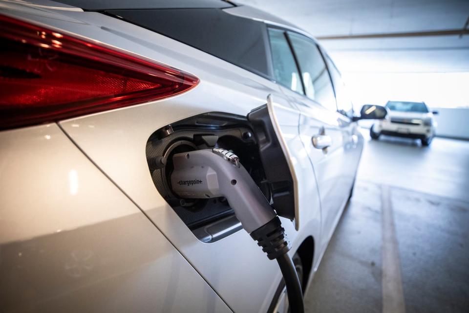 The number of electric vehicles in Newfoundland and Labrador rose by 74 per cent in 2023. (Ben Nelms/CBC - image credit)
