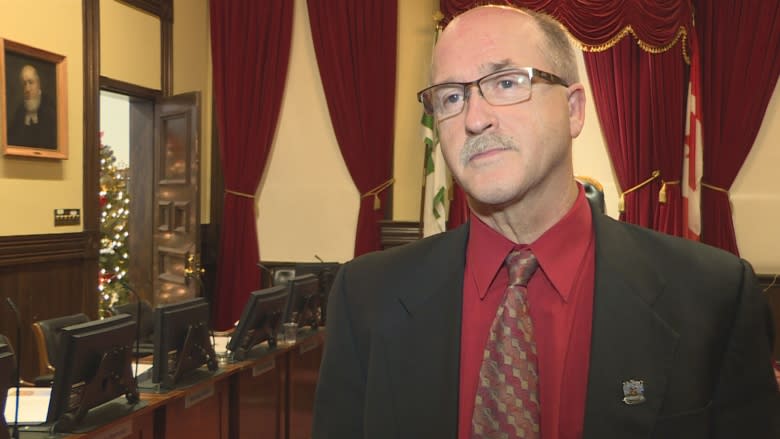 All I want is my 'fair share,' says councillor of Christmas decorations