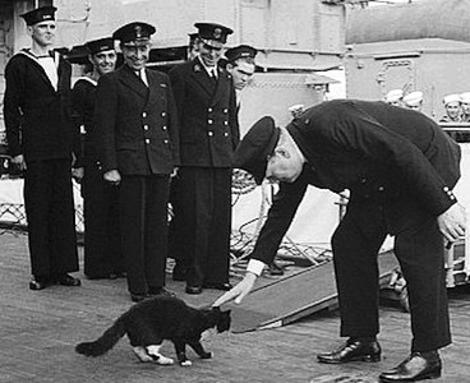 Blackie the cat meets Churchill aboard her homestead, the HMS Prince of Wales.