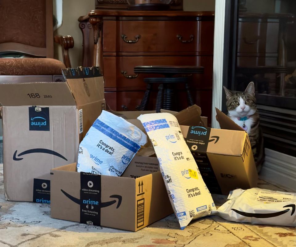 Amazon Prime Day 2024 Watch out for fake sites, deals designed to