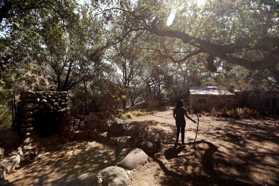 A woman standing beneath a canopy of trees