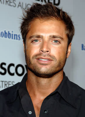David Charvet at the Hollywood premiere of Lions Gate Films' Undiscovered