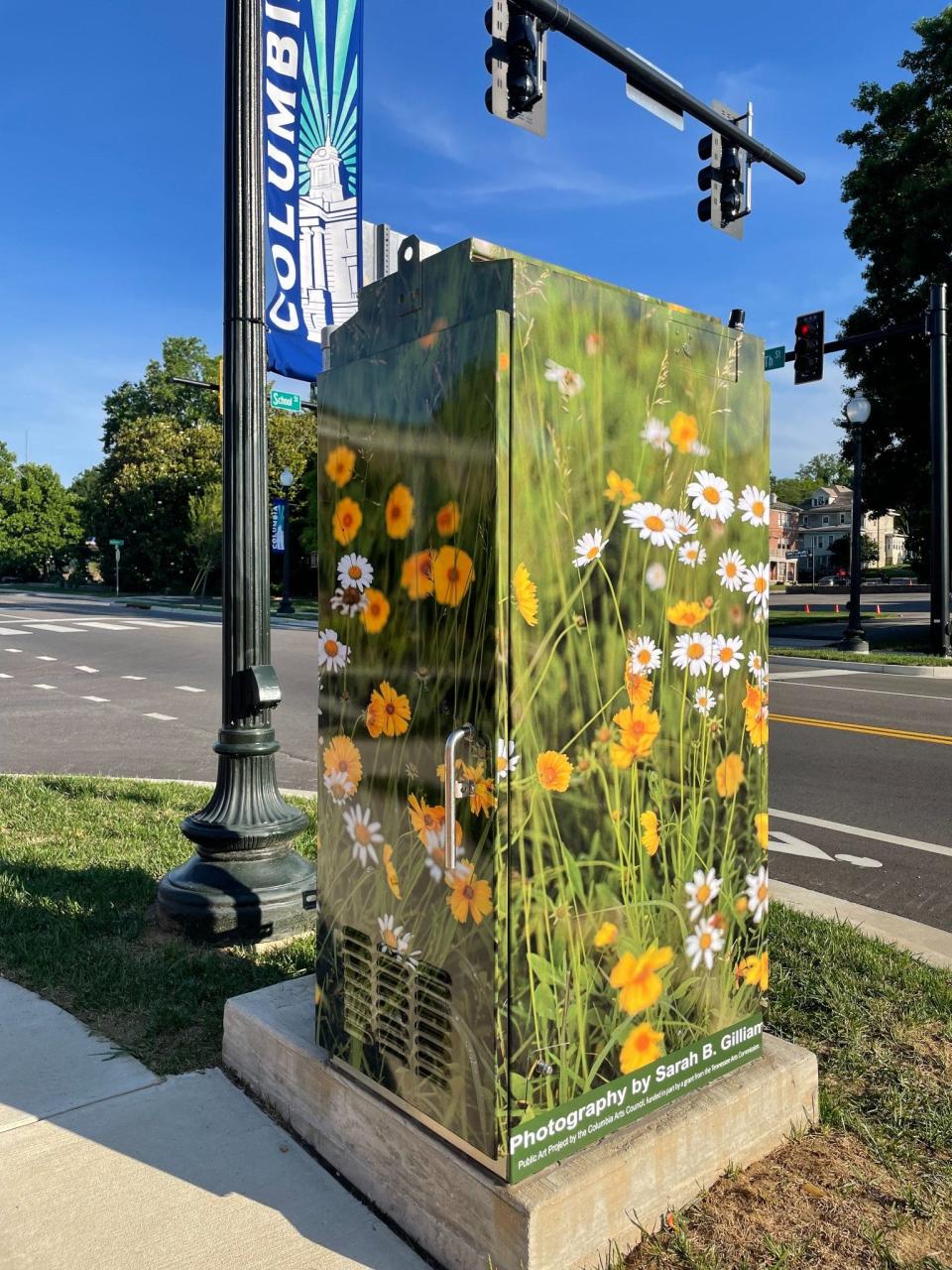 Art by Sarah. B. Gilliam adorns a utility box as part of a new public art project by the Columbia Arts Council.