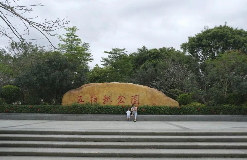 深圳旅遊｜寶安區五指耙公園賞花打卡！超廣闊馬鞭草浪漫花海正值盛開、人少景美森林做背景｜附前往方法