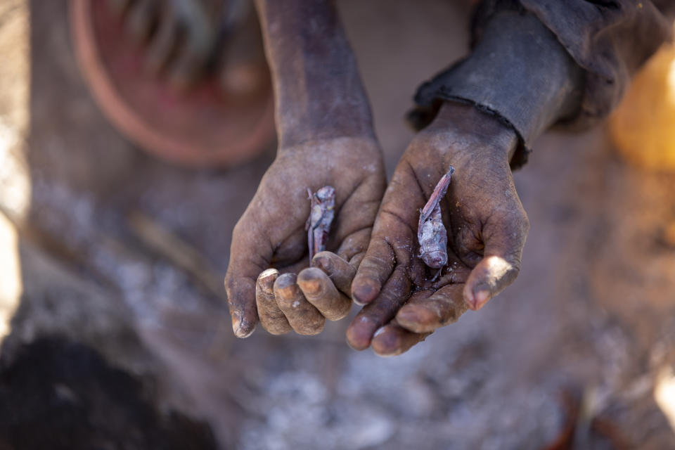 People holding locusts.