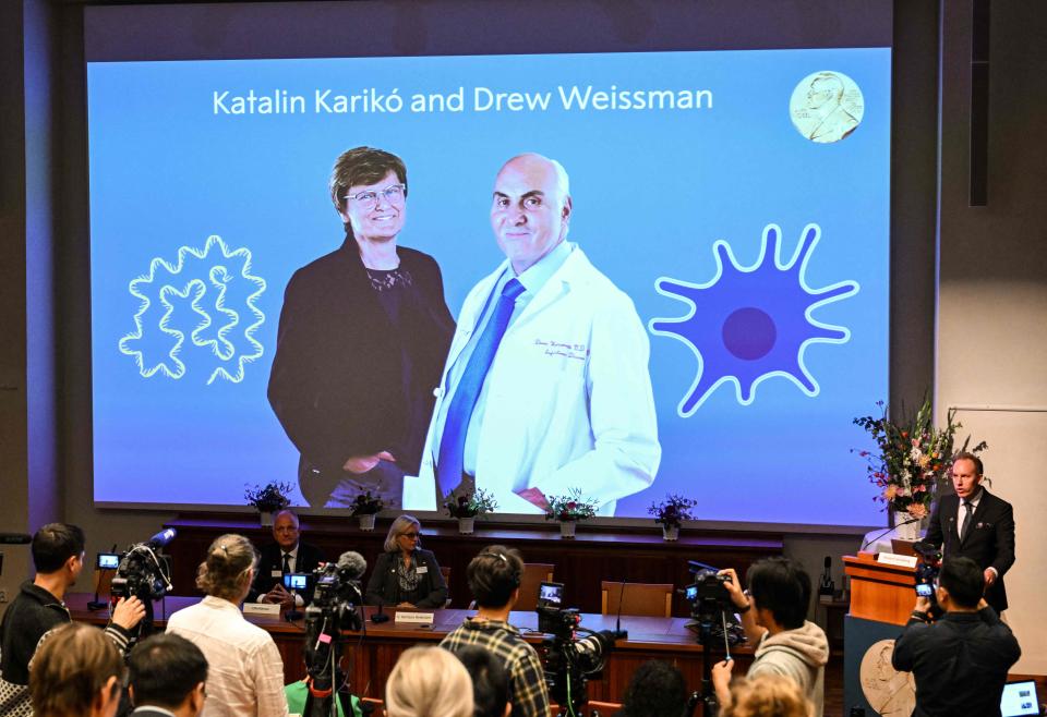 The Nobel Assembly at Karolinska Institutet in Stockholm announces on Oct. 2, 2023, that Katalin Karikó and Drew Weissman, who met in 1997 at a hallway copy machine at the University of Pennsylvania, won the Nobel Prize in Physiology or Medicine for research that led to the mRNA COVID-19 vaccines.