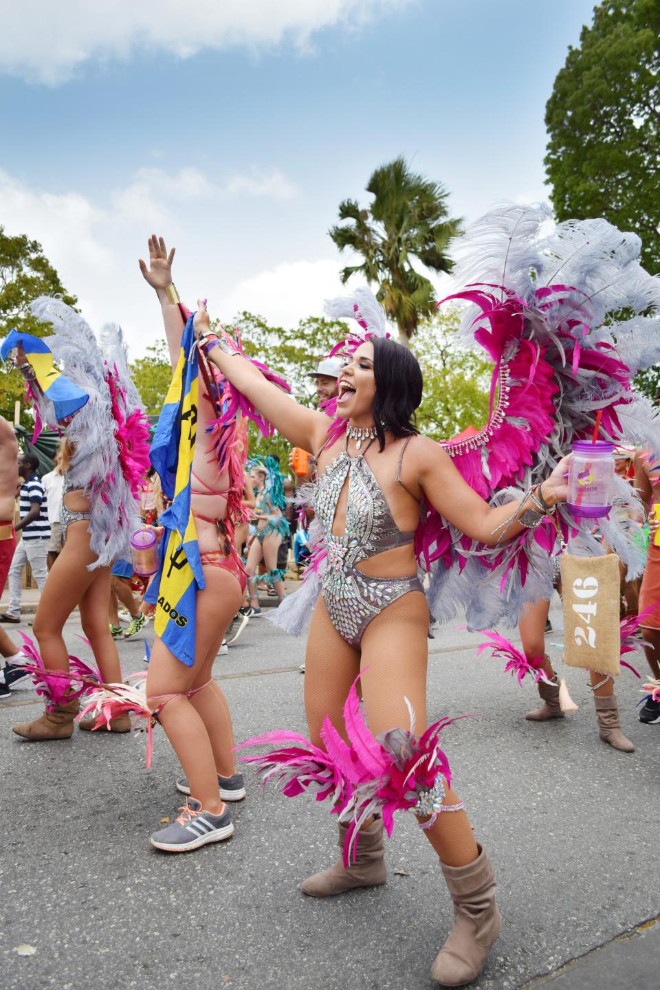 Hints of magenta make this masquerader's bedazzled outfit all the more alluring.