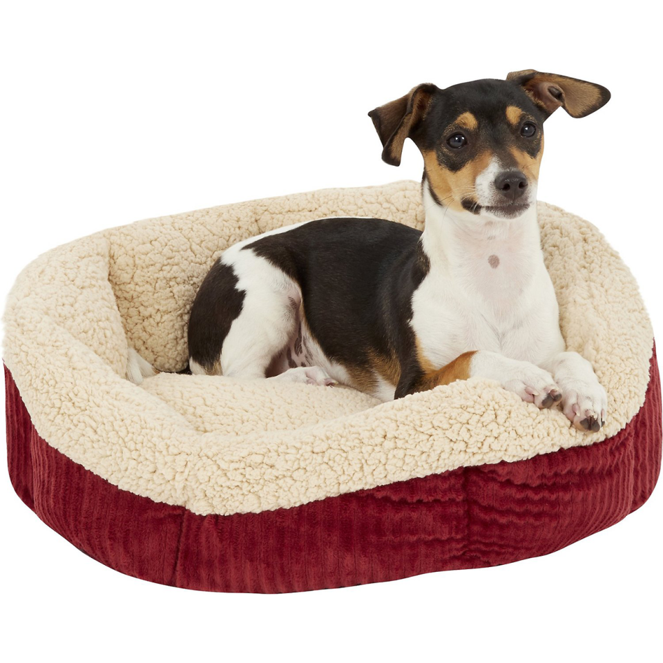 aspen pet self warming pet bed