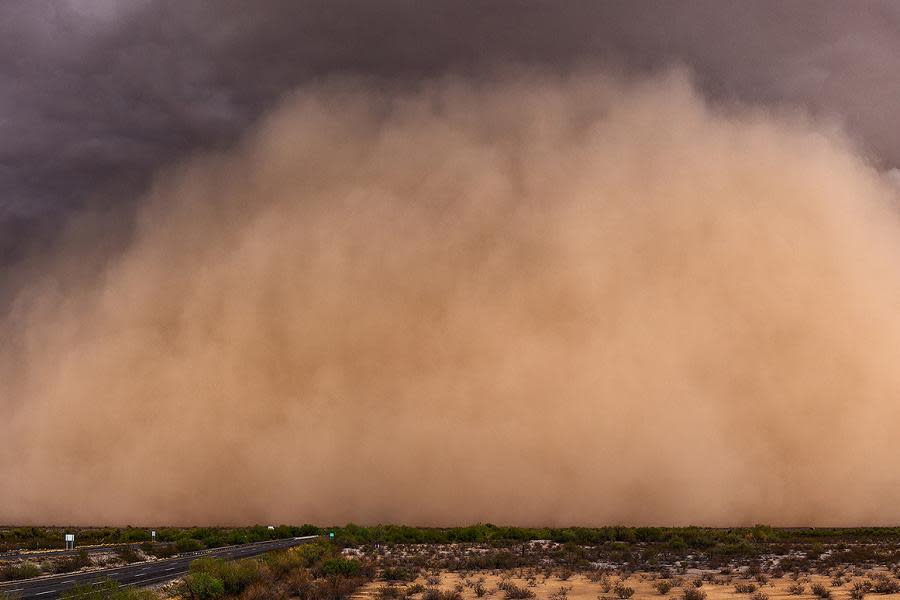 Advierten sobre la llegada de polvo del Sahara a México; estos son los estados más afectados