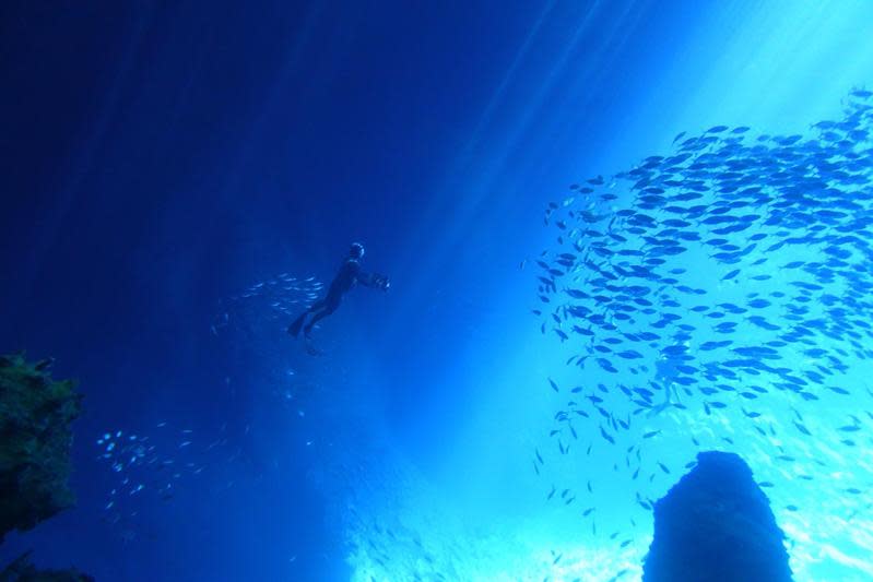 紀錄片《男人與他的海》遠赴東加王國拍攝海底美景。（牽猴子提供）