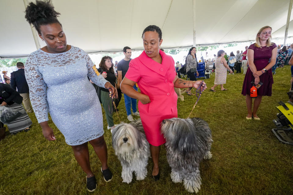 Mother and daughter handlers Vicki Venzen, right, with Bergamasco sheepdog Coco, and Tia Williams with Bergamasco sheepdog Sapphire wait to compete during the 146th Westminster Kennel Club Dog show, Monday, June 20, 2022, in Tarrytown, N.Y. (AP Photo/Mary Altaffer)