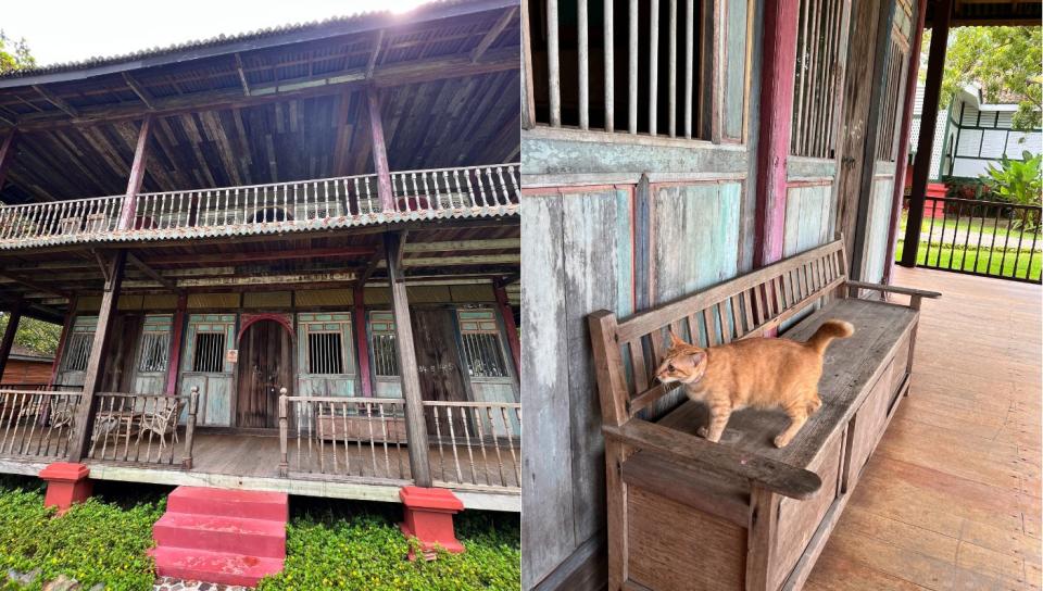 Say hello to one of the resident cats at Johor House in Temple Tree Resort Langkawi. (PHOTO: Reta Lee/Yahoo Life Singapore)