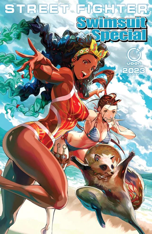 Street Fighter Beach Party Pinup - Vega Dust Jacket