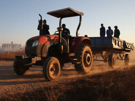 A tractor carries workers in the farming area of Chinhoyi, Zimbabwe, July 26, 2017. Picture taken July 26, 2017. To match Special Report ZIMBABWE-MUGABE/FARMING REUTERS/Philimon Bulawayo