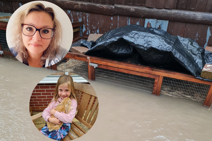 The whole hutch, although raised off the ground, was underwater. Top inset shows Louise, while the bottom one shows her youngest daughter holding Chester