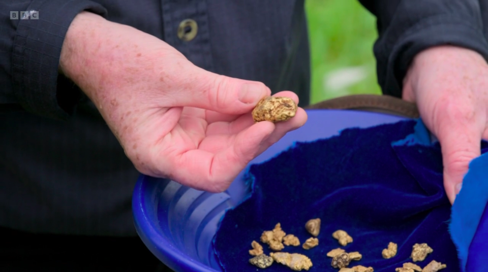 This particular nugget was said to be worth approximately £15,000. (BBC screenshot)