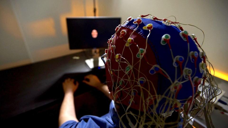 A person wears an electroencephalogram (EEG) cap on their head while watching a display monitor.