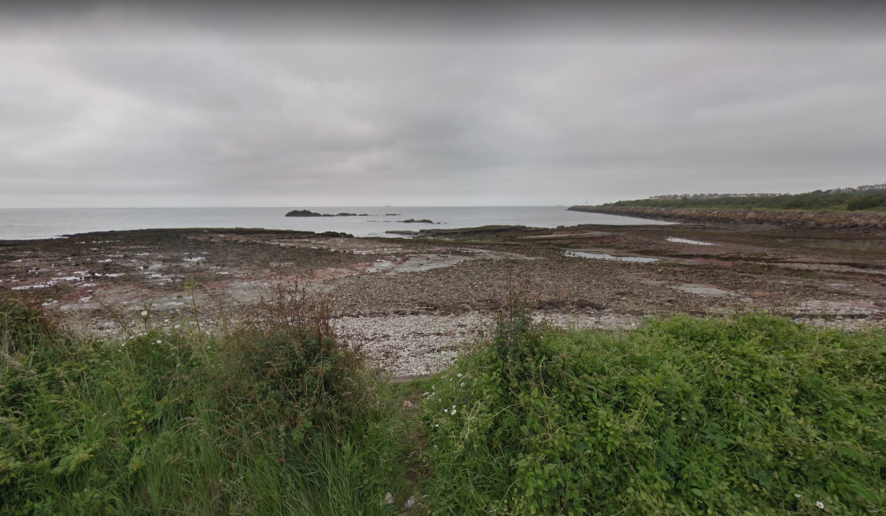 Lily Wilder and her family made the discovery while out on a walk on Bendricks Bay in January, according to a statement from the National Museum Wales.  