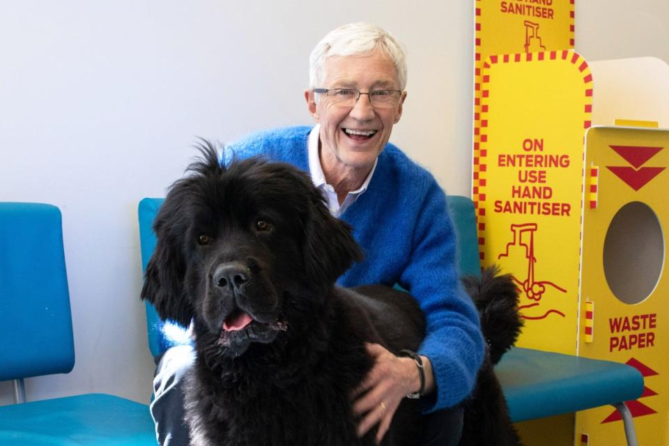 Paul O’Grady with Peggy, a Newfoundland (ITV)