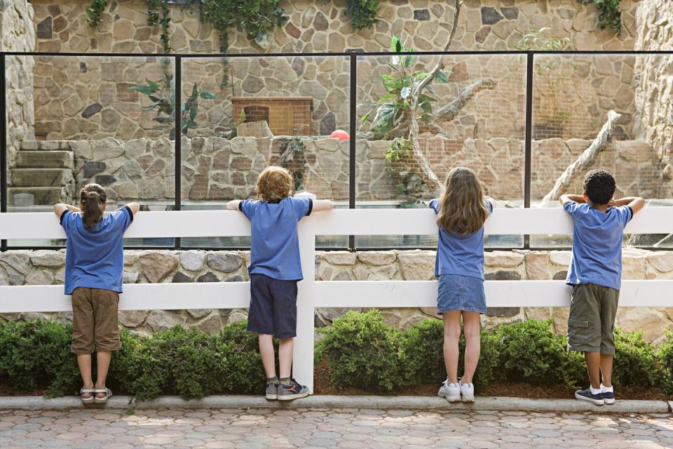 school children looking in enclosure