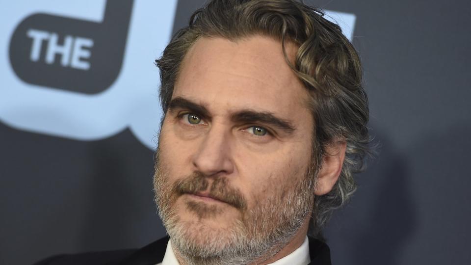 «Es gibt so viel Schmerz in der Welt, gegen den wir nichts tun können, aber an dem Leid von Tieren beteiligt zu sein, zählt nicht dazu», sagt Schauspieler Joaquin Phoenix in einem Video.