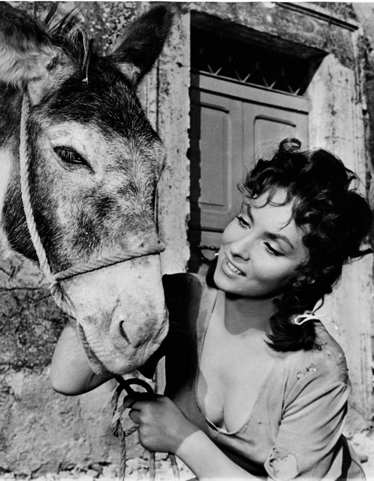 Actress Gina Lollobrigida pets a donkey on the side of his head as she takes a break between scenes of filming "Pane, Amore e Gelosia (Bread, Love and Jealousy)" in Italy on Aug. 6, 1954. 